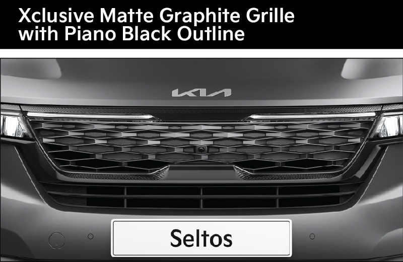 Matte Graphite Grille