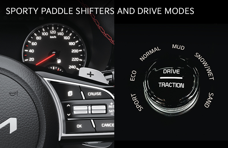 Paddle Shifters